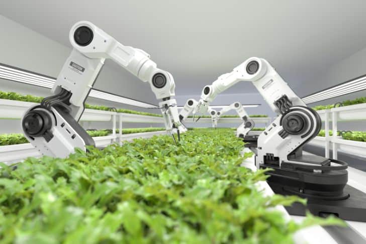 Innovative Applications of AI in Agriculture and Retail